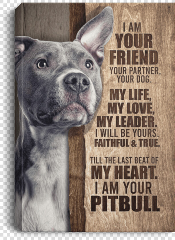 Cubebik I Am Your Friend Your Pitbull Your Dog Framed   Pitbull Poster  HD Png DownloadTransparent PNG