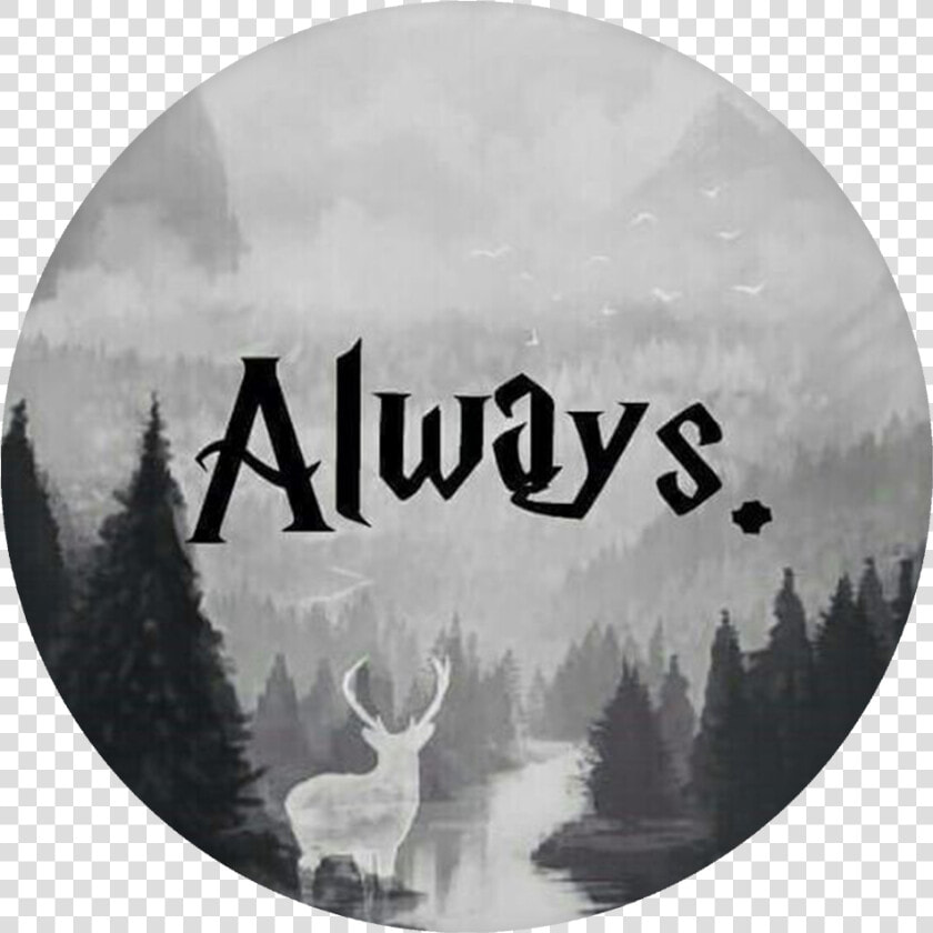 Harry Potter Always Popsocket  HD Png DownloadTransparent PNG