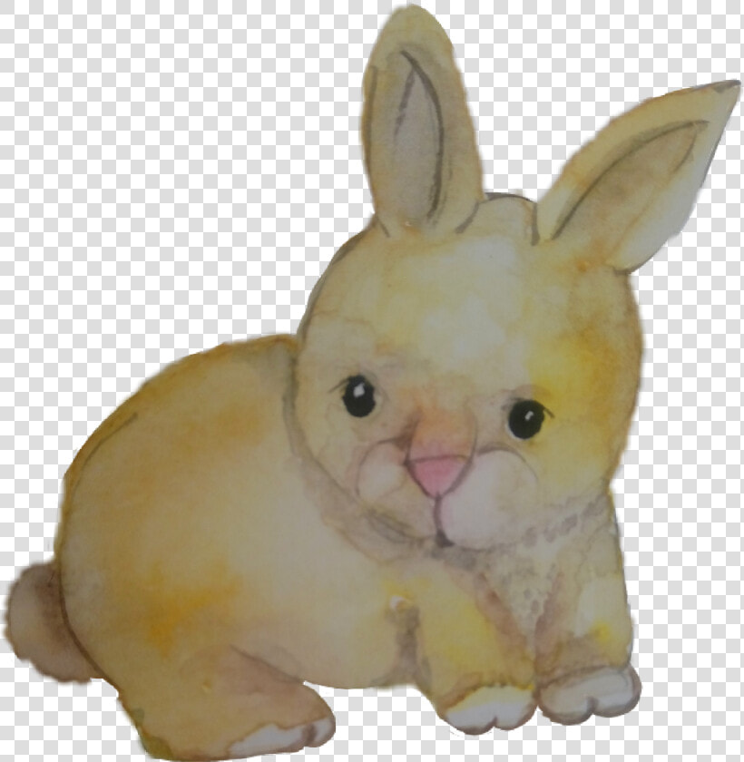 Baby Rabit Coelho Aquarela Watercolor Catarinazs   Domestic Rabbit  HD Png DownloadTransparent PNG