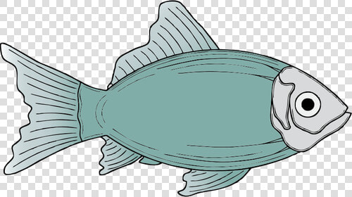 Generic Blue Fish Vector Illustration   Fish Clip Art  HD Png DownloadTransparent PNG