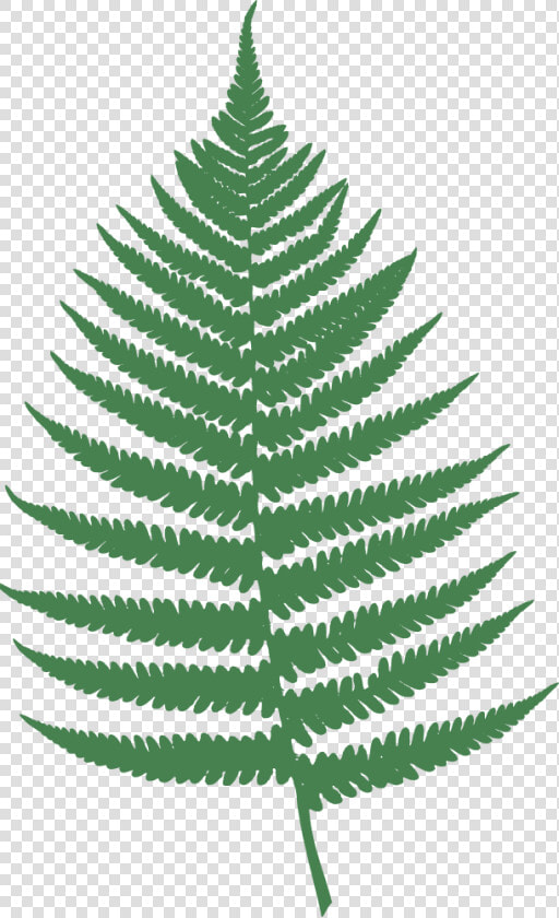 Onlinelabels Clip Art Leaf   Fern Clipart  HD Png DownloadTransparent PNG