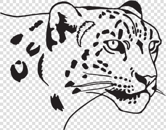 Siberian Tiger  HD Png DownloadTransparent PNG