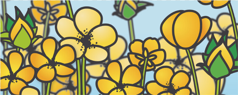 Buttercup Flower Field Yellow Floral Arrangement White   Stained Glass  HD Png DownloadTransparent PNG