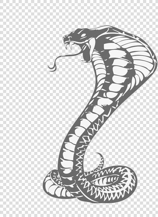 Cobras King Cobra Snakes Tattoo Snake Drawing Clipart   Khon Kaen United F c   HD Png DownloadTransparent PNG