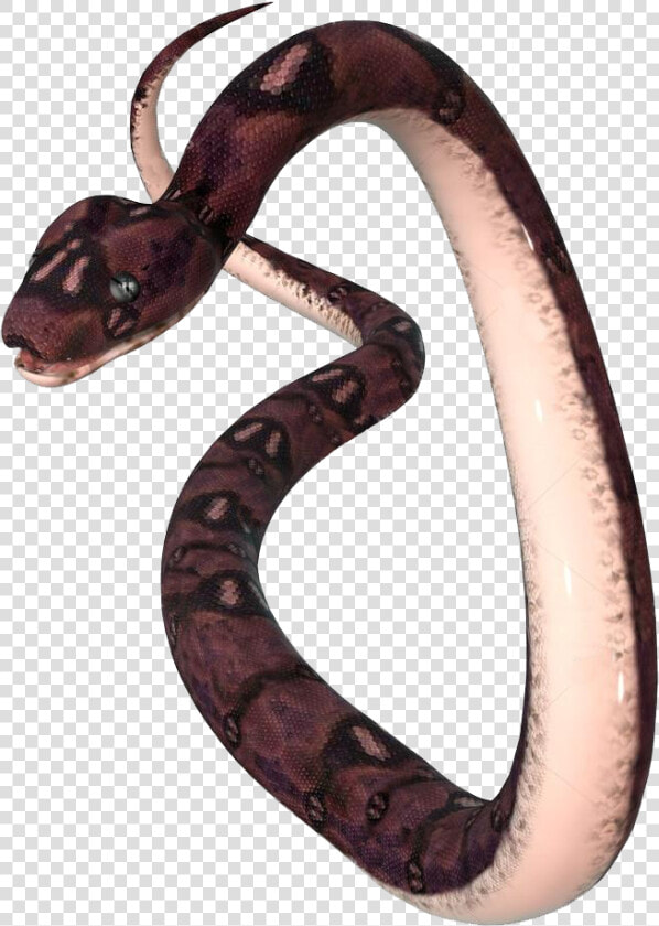 Transparent Anaconda Png   Png Download   Transparent Anaconda  Png DownloadTransparent PNG