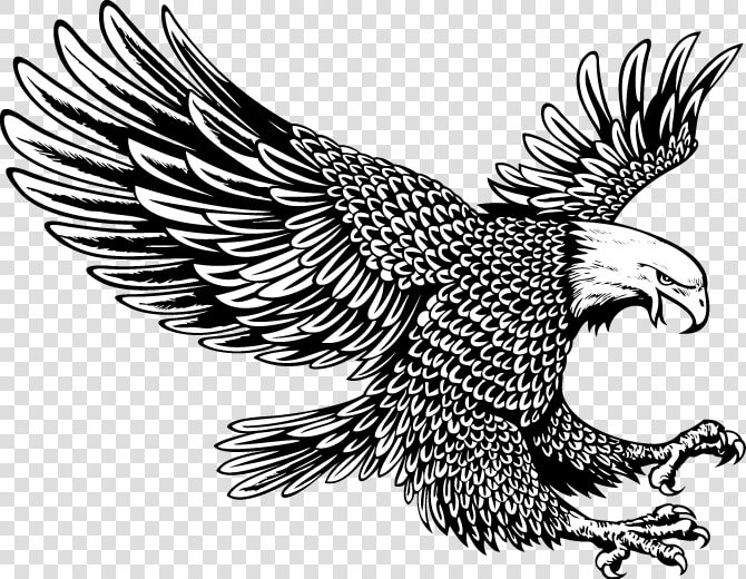 Transparent White Eagle Png   Eagle Tattoo Black And White  Png DownloadTransparent PNG