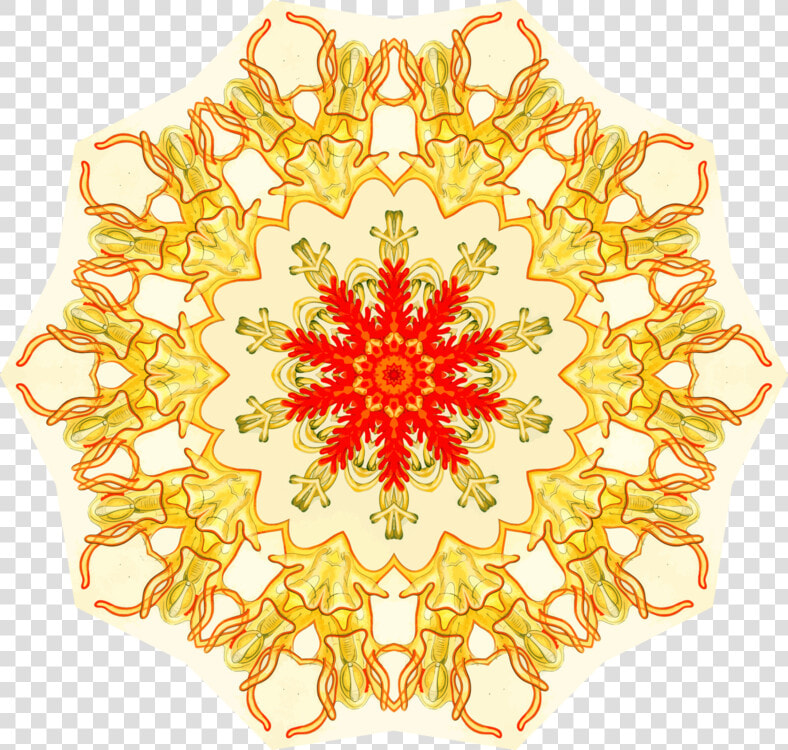 Orange symmetry yellow   Happy 55th Wedding Anniversary  HD Png DownloadTransparent PNG