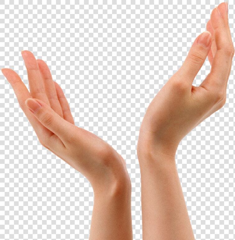 Hand Png Image   Hands Extended Png  Transparent PngTransparent PNG