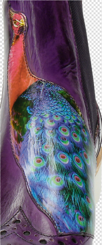 Ankle Boots Amelie 44 Purple Flame Peacock Bee   Peafowl  HD Png DownloadTransparent PNG