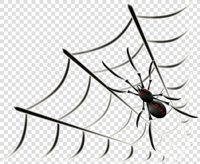 Sin Spider Space Web Graphic And Picture   Transparent Animated Spider Gif  HD Png DownloadTransparent PNG