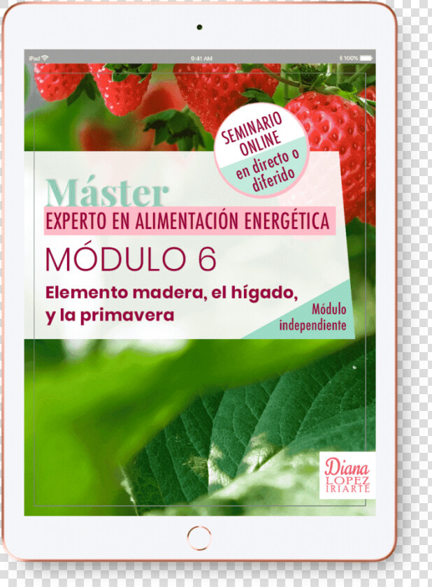 Mejorarán Tus Conocimientos Sobre Cómo Mejorar Y Limpiar   Strawberry  HD Png DownloadTransparent PNG