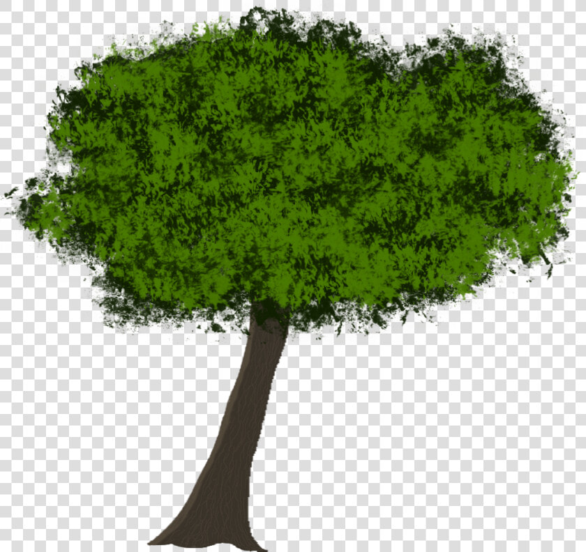 Transparent Tree Roots Silhouette Png   Elm  Png DownloadTransparent PNG