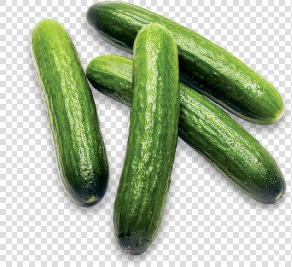 Mini Cucumbers   Cucumber  HD Png DownloadTransparent PNG