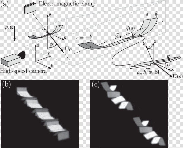 Schematic Of The Geometry Of A Falling  Tumbling  Bent   Stairs  HD Png DownloadTransparent PNG