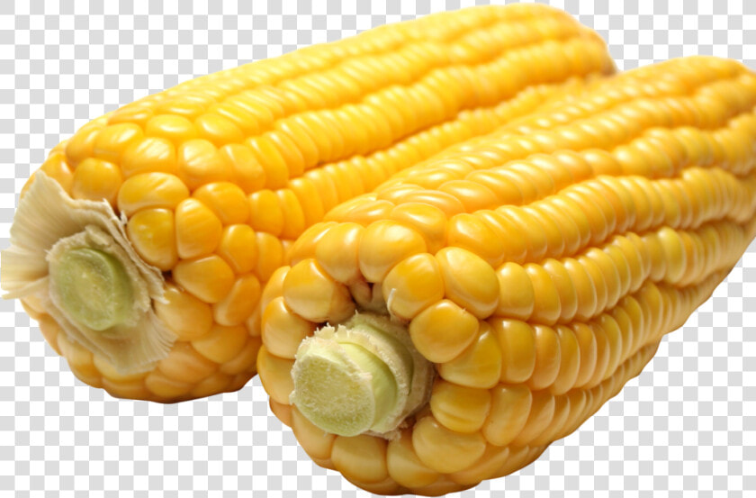 Corn Png Image1   Corn  png  Transparent PngTransparent PNG