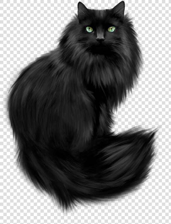 Black Himalayan Persian Cat  HD Png DownloadTransparent PNG