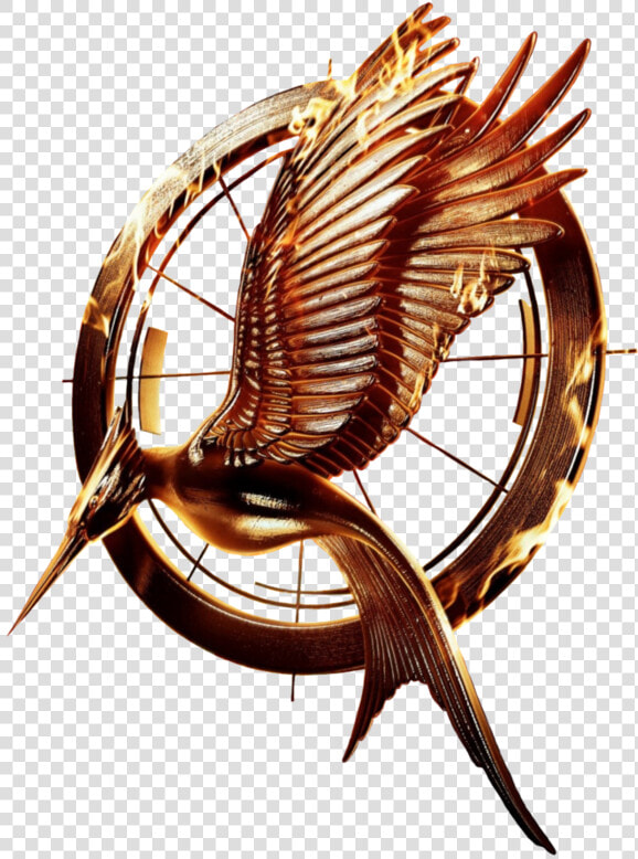 Hunger Games Catching Fire Logo Png   Hunger Games Catching Fire Logo  Transparent PngTransparent PNG