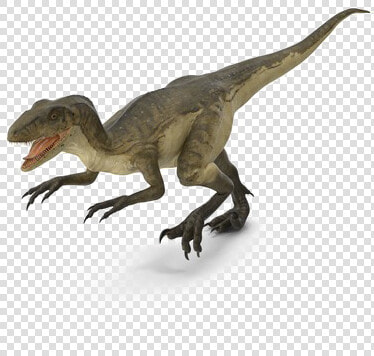 Theropod Transparent Background   Deinonychus Png  Png DownloadTransparent PNG