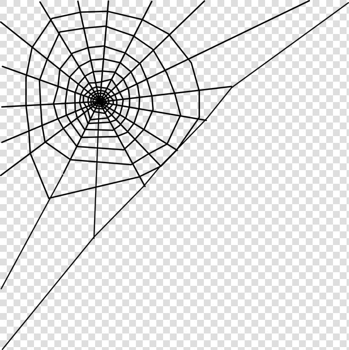 Spider Web Clipart Transparent Background   Cob Web Clip Art  HD Png DownloadTransparent PNG