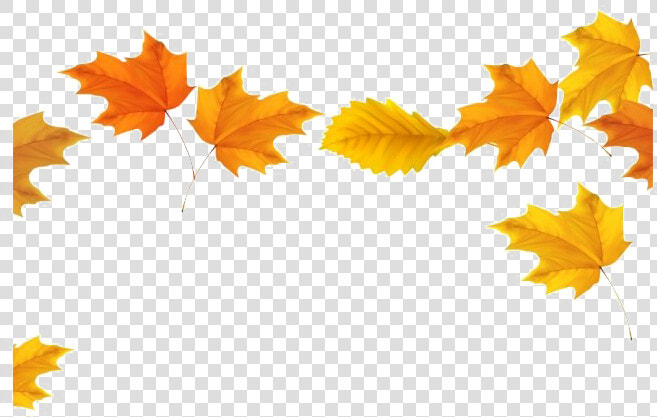 Fall Leaves Png Transparent Image   Fall Leaves Transparent Background  Png DownloadTransparent PNG