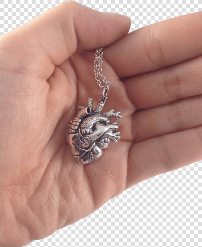 Transparent Anatomical Heart Png   Locket  Png DownloadTransparent PNG