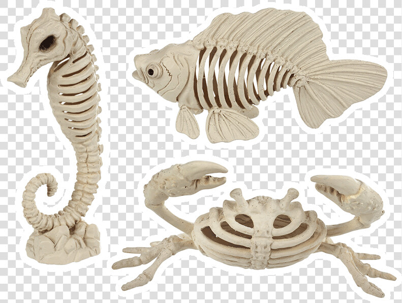 Sea Bonez Set   Halloween Sea Life Skeleton  HD Png DownloadTransparent PNG