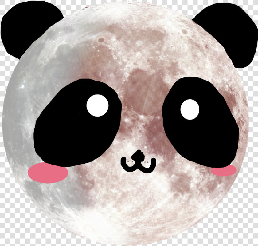  panda  kawaii  cute  moon  luna  cuqui  pandalove   Full Moon Hi Def  HD Png DownloadTransparent PNG