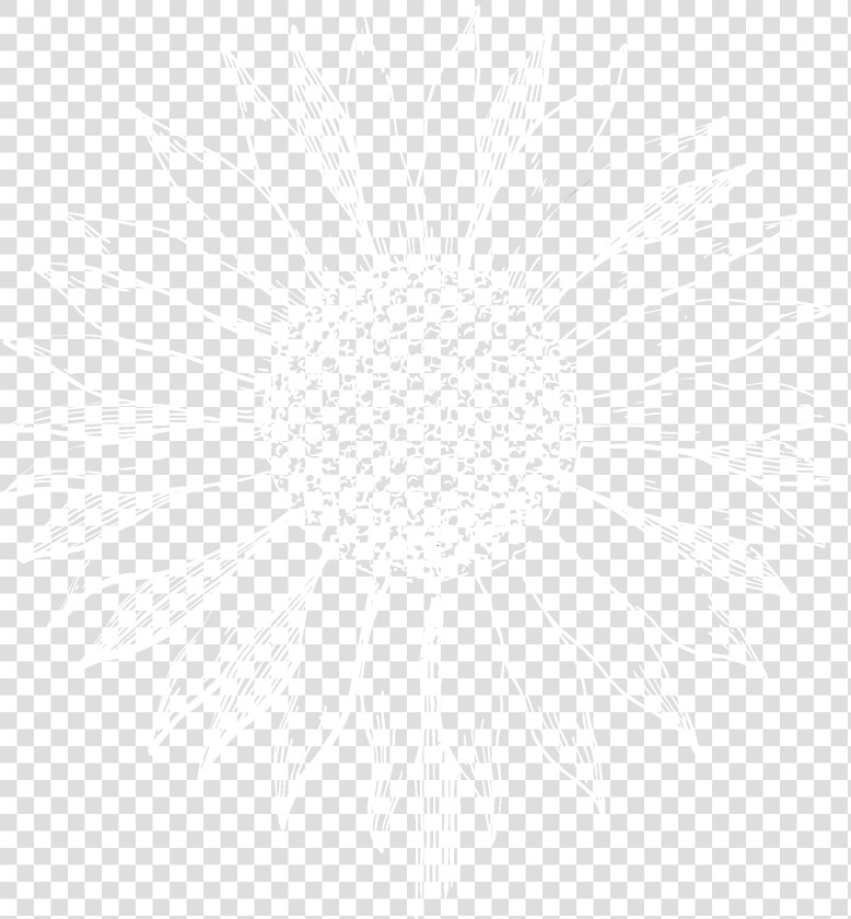 Los Girasoles Ranch   Common Sunflower  HD Png DownloadTransparent PNG