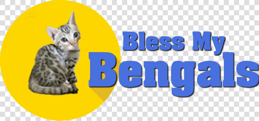 Bless My Bengals   Squitten  HD Png DownloadTransparent PNG