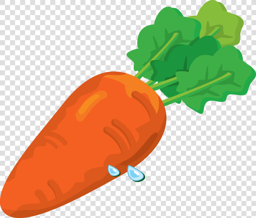 Carrot Png Image   Carrot Png Clip Art  Transparent PngTransparent PNG