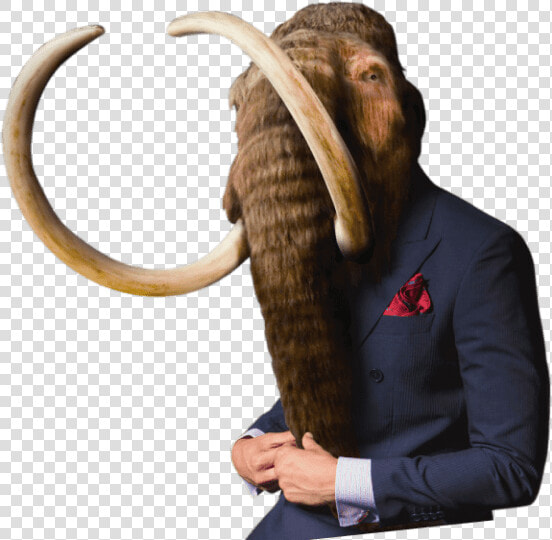 Stone Age Mammoth  HD Png DownloadTransparent PNG