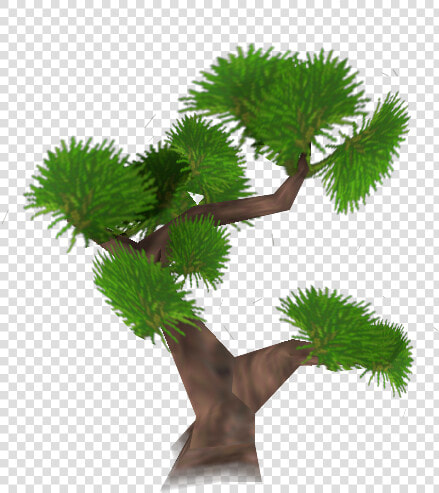 Sabal Palmetto  HD Png DownloadTransparent PNG