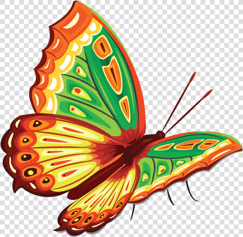 Imagen Relacionada Butterfly Clip Art  Butterfly Painting    Butterfly Painting Png  Transparent PngTransparent PNG