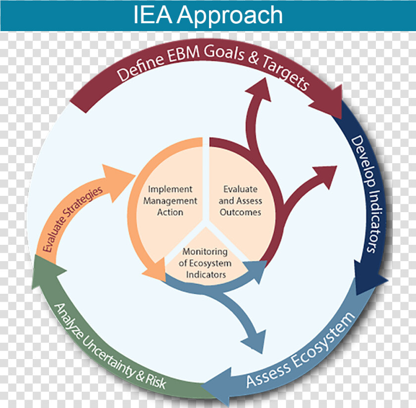 Iea Approach   Ecosystem Based Management Process  HD Png DownloadTransparent PNG