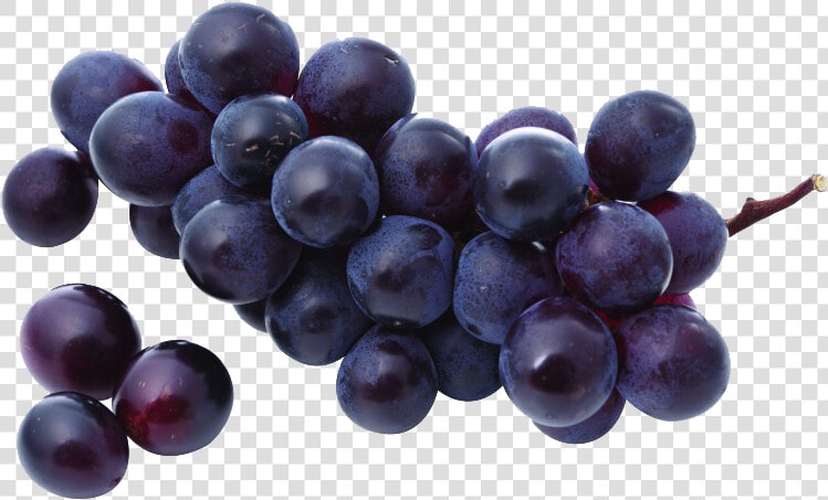 Transparent Purple Grapes Clipart   Purple Grapes Png  Png DownloadTransparent PNG