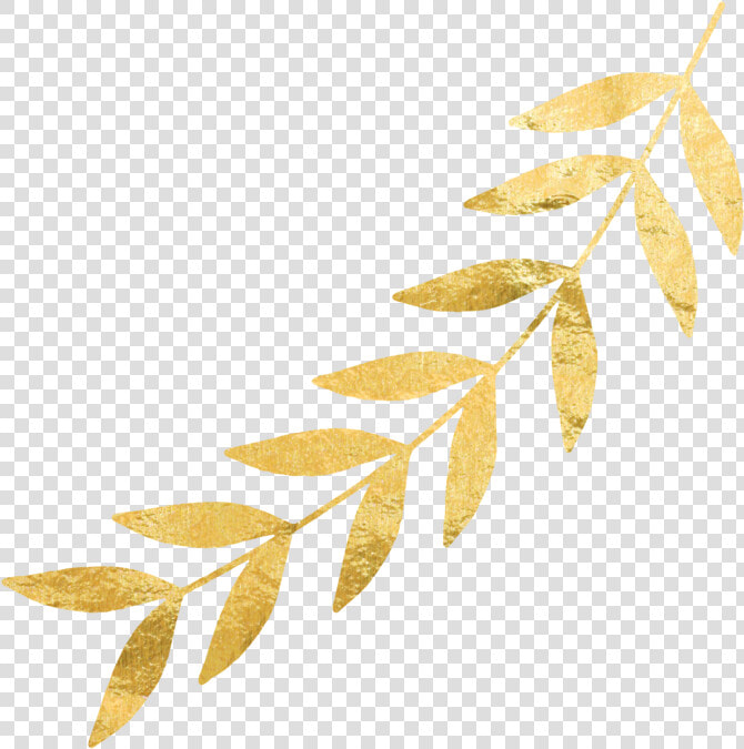 Gold Leaves Png  right Gold Leaf   Gold Leaves No Background  Transparent PngTransparent PNG