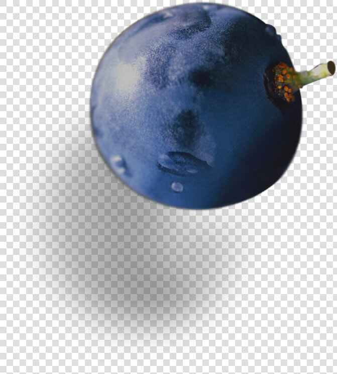 Single Grape Png   One Transparent Grape Png  Png DownloadTransparent PNG