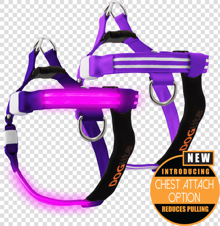 Double Trouble Led Dog Harness   Pet Harness  HD Png DownloadTransparent PNG