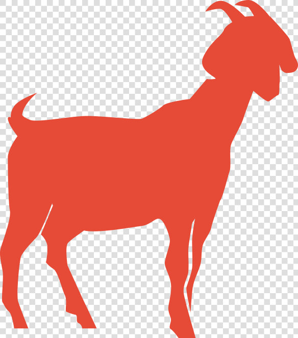 Goat Sheep Cattle Mammal Dog   ছাগল  HD Png DownloadTransparent PNG