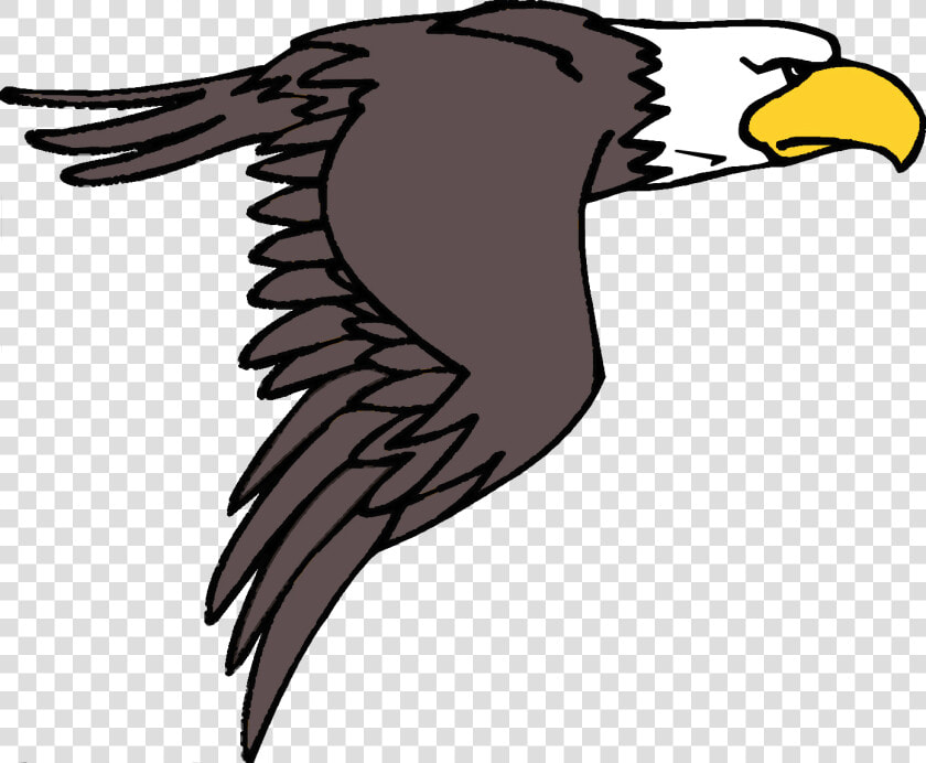 Eagle Clip Art   Cartoon Flying Clipart Eagle  HD Png DownloadTransparent PNG