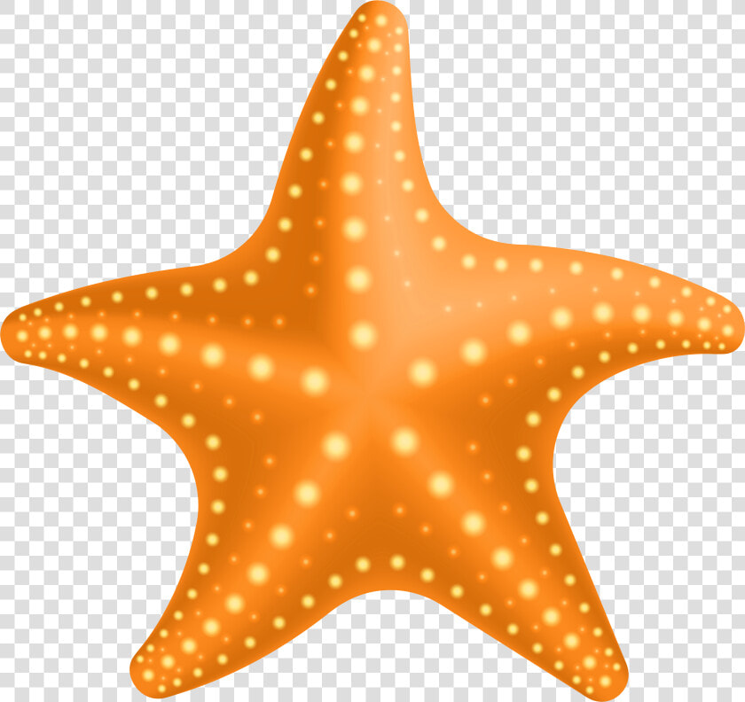 Png Gallery Yopriceville High   Red Star Fish Clipart  Transparent PngTransparent PNG