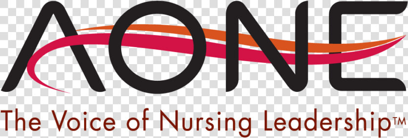 Aone Guiding Principles For The Role Of The Nurse In   Aone  HD Png DownloadTransparent PNG