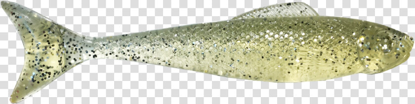 Eel  HD Png DownloadTransparent PNG