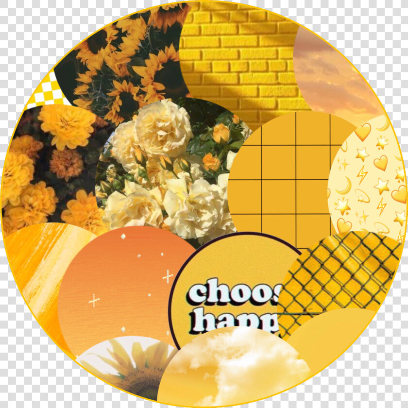  yellow  aesthetic  background  choosehappy  sunshine   Yellow Beige Background Aesthetic  HD Png DownloadTransparent PNG