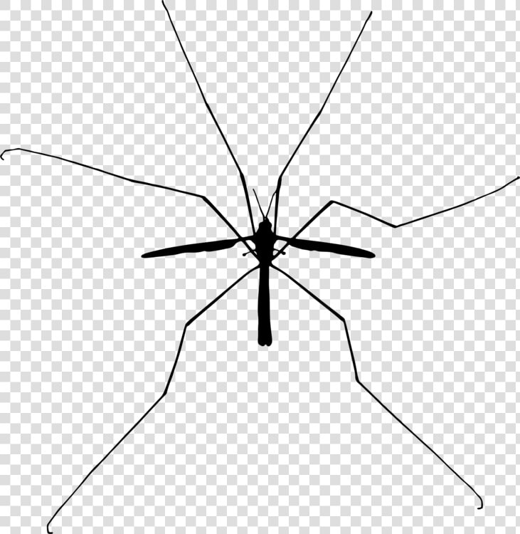 Fly line Art angle   Small Flying Doves In Black And White Drawing  HD Png DownloadTransparent PNG