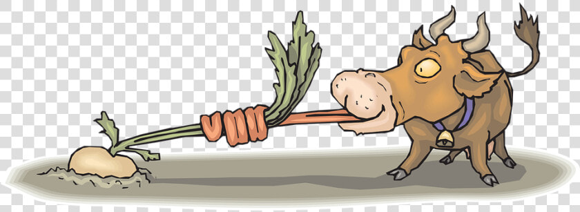 Cow  Eating  Food  Animal  Tongue  Turnip   Turnip In Ground Cartoon  HD Png DownloadTransparent PNG