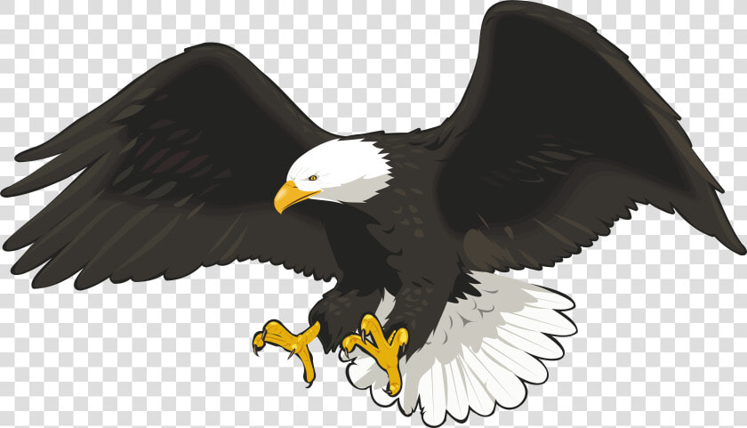 Eagle Clip Art Image Gallery High quality Transparent  HD Png DownloadTransparent PNG