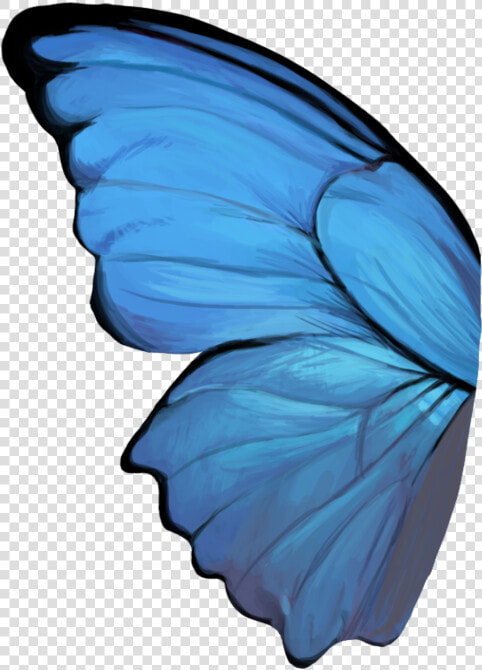 Butterfly Wing   Blue Butterfly Wings Png  Transparent PngTransparent PNG