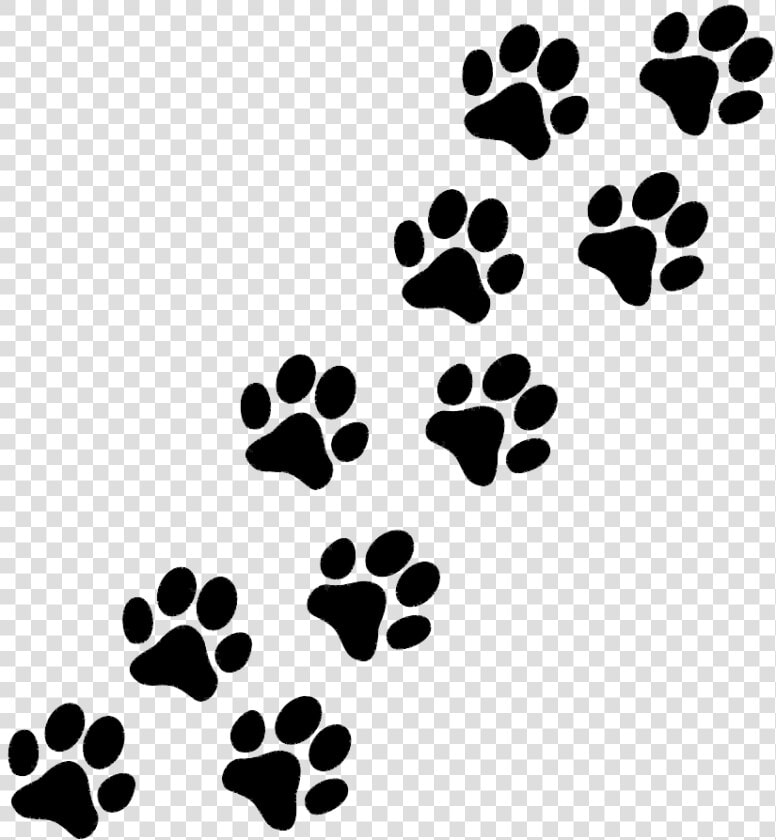 Paw Puppy Cat Pug Clip Art   Clear The Shelters 2019  HD Png DownloadTransparent PNG