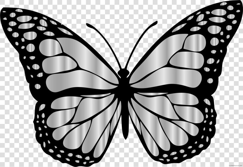 Monarch Butterfly Animal Free Black White Clipart Images   Butterfly Clipart Black And White  HD Png DownloadTransparent PNG